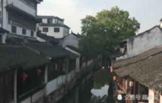 加入俗话说红薯赛人参,那糖尿病人能吃红薯吗?为什么?知识星球,解锁无限知识宝藏