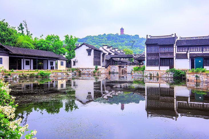 了解刚学开车心慌?怎么办,探索知识星球